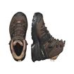 Picture of SALOMON - QUEST 4 GTX W